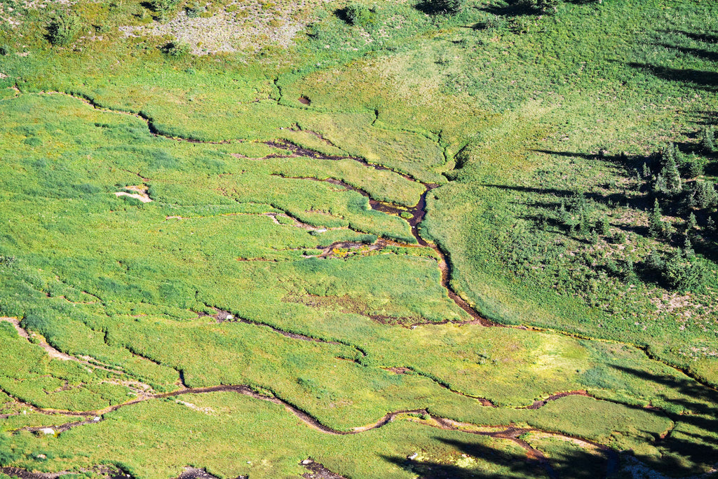 Veins of the Earth
