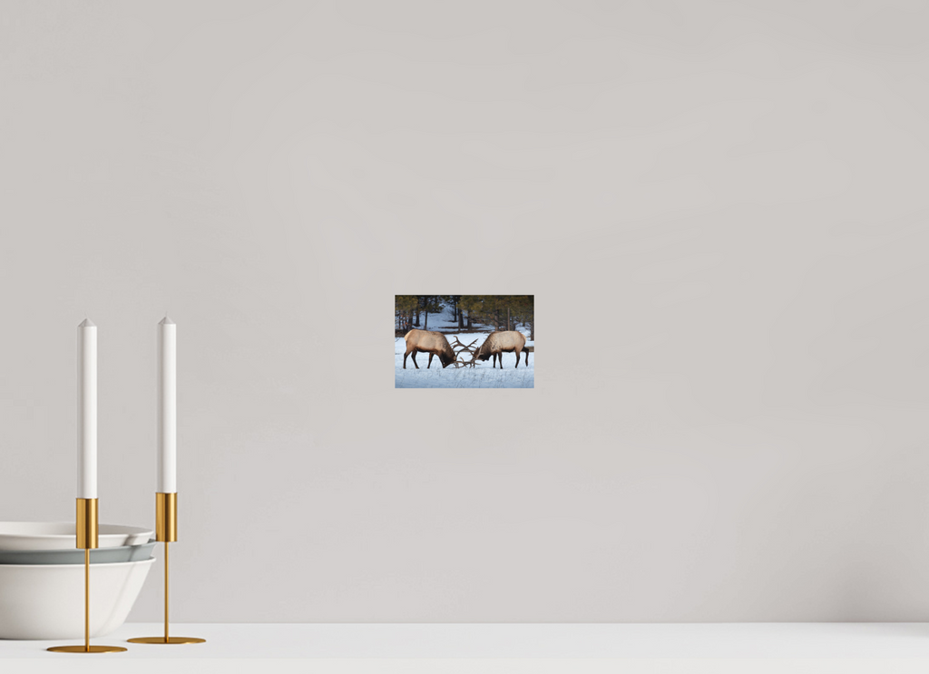 6 x 4″, Metal Print The Dual