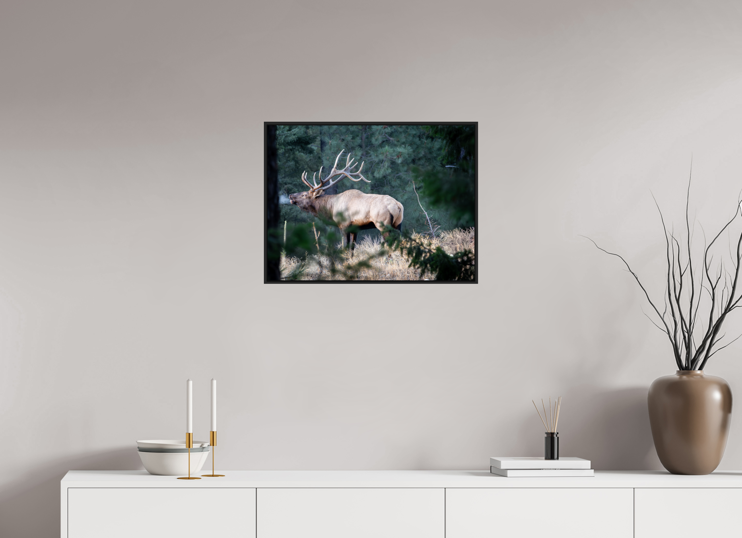24 x 18″, Acrylic Print With Frame Screaming Bull