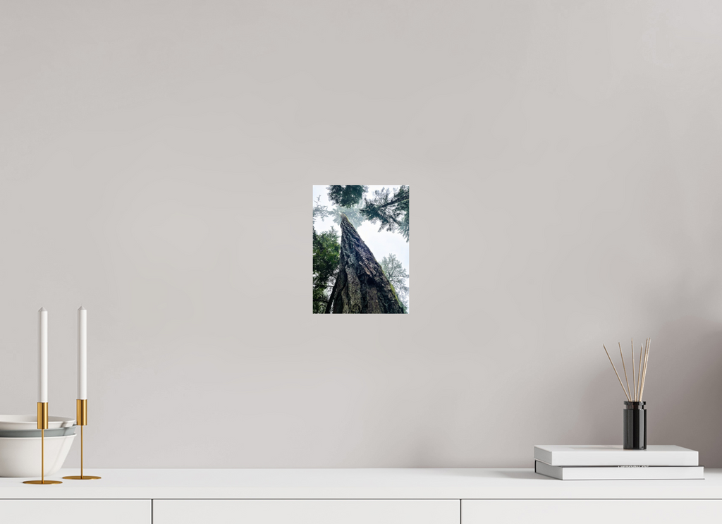6 x 8″, Photo Print Tree of life