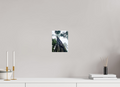 6 x 8″, Photo Print Tree of life