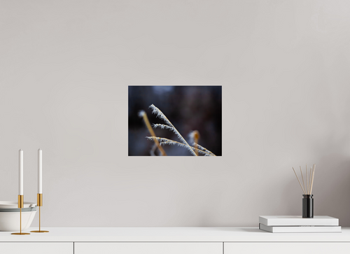 12 x 9″, Photo Print Frosty Blade