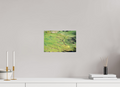 12 x 8″, Photo Print Veins of the Earth
