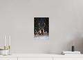 8 x 12″, Photo Print Leader