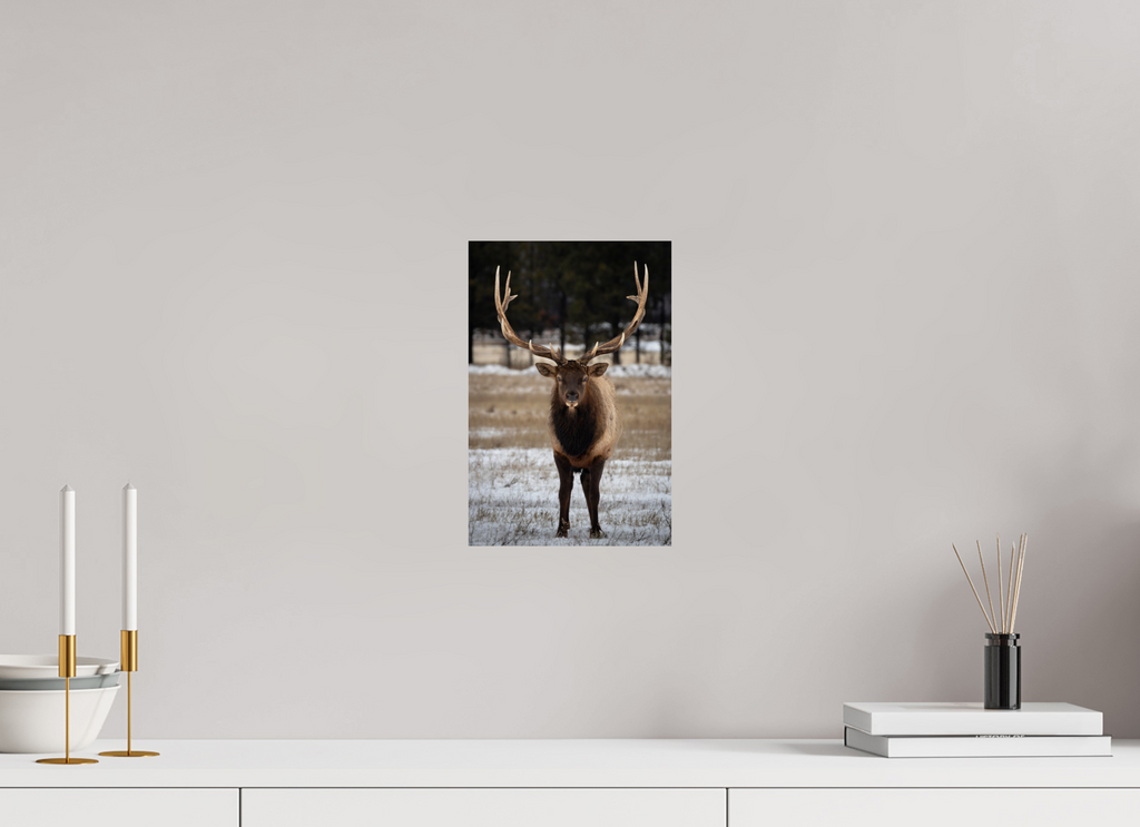 8 x 12″, Photo Print Stare Down