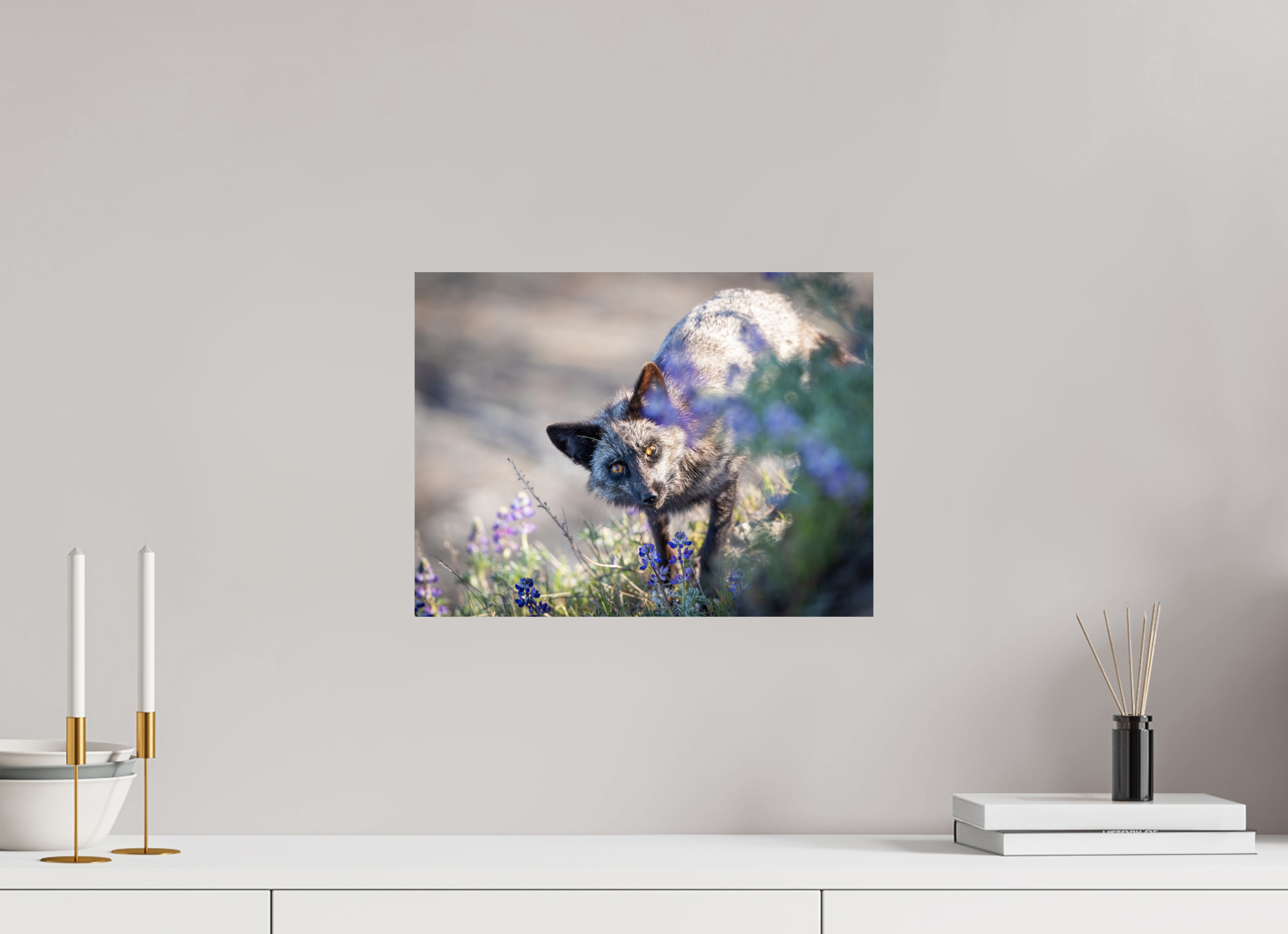 16 x 12″, Photo Print Sneaky Fox