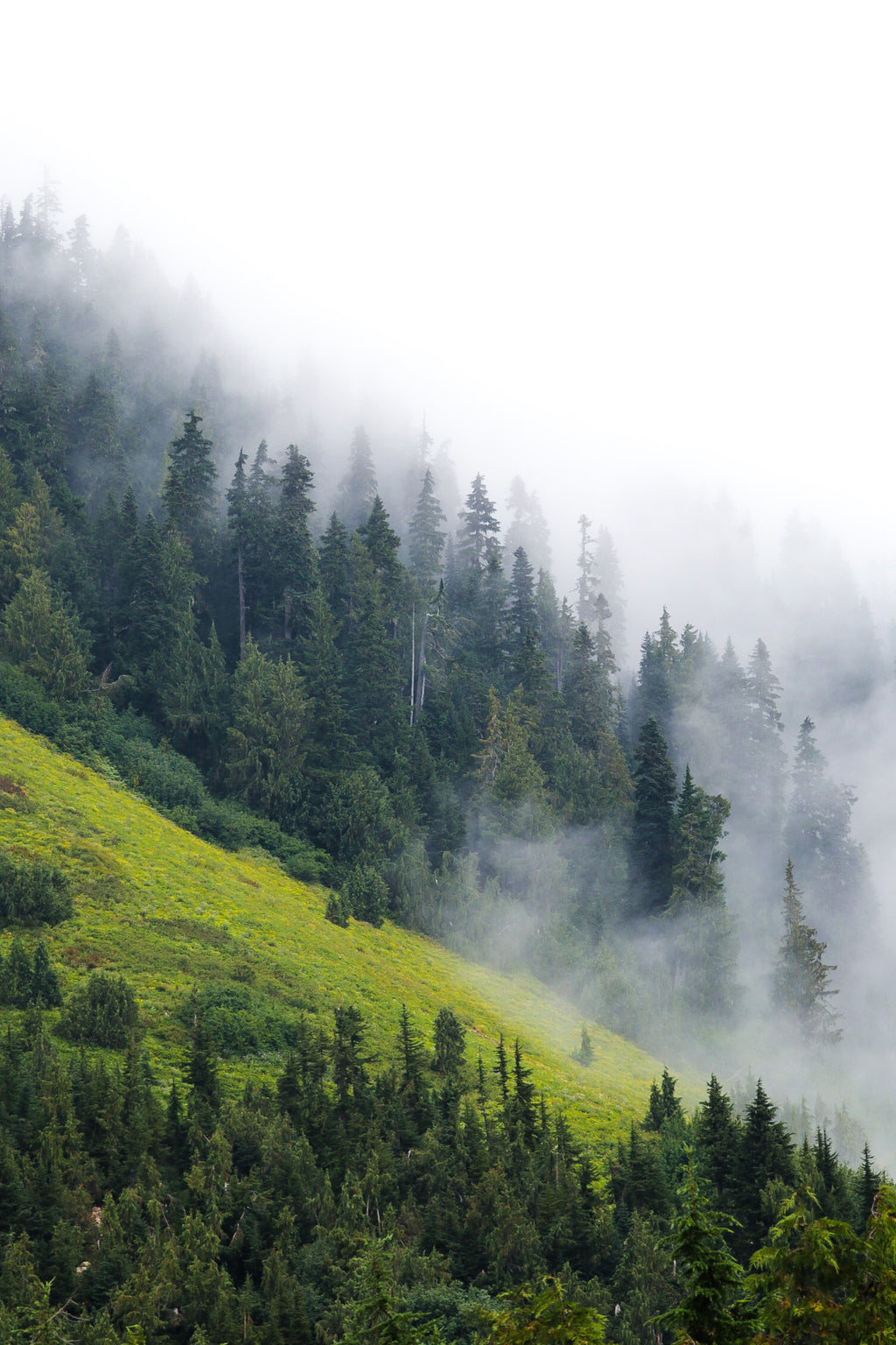 Main image Moody Hillside