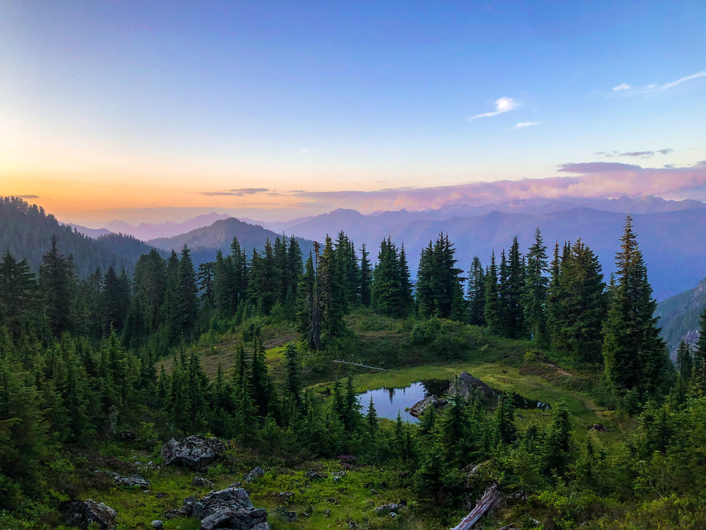 Main image Pond of Wonders