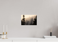 12 x 8″, Photo Print Smokey Trees