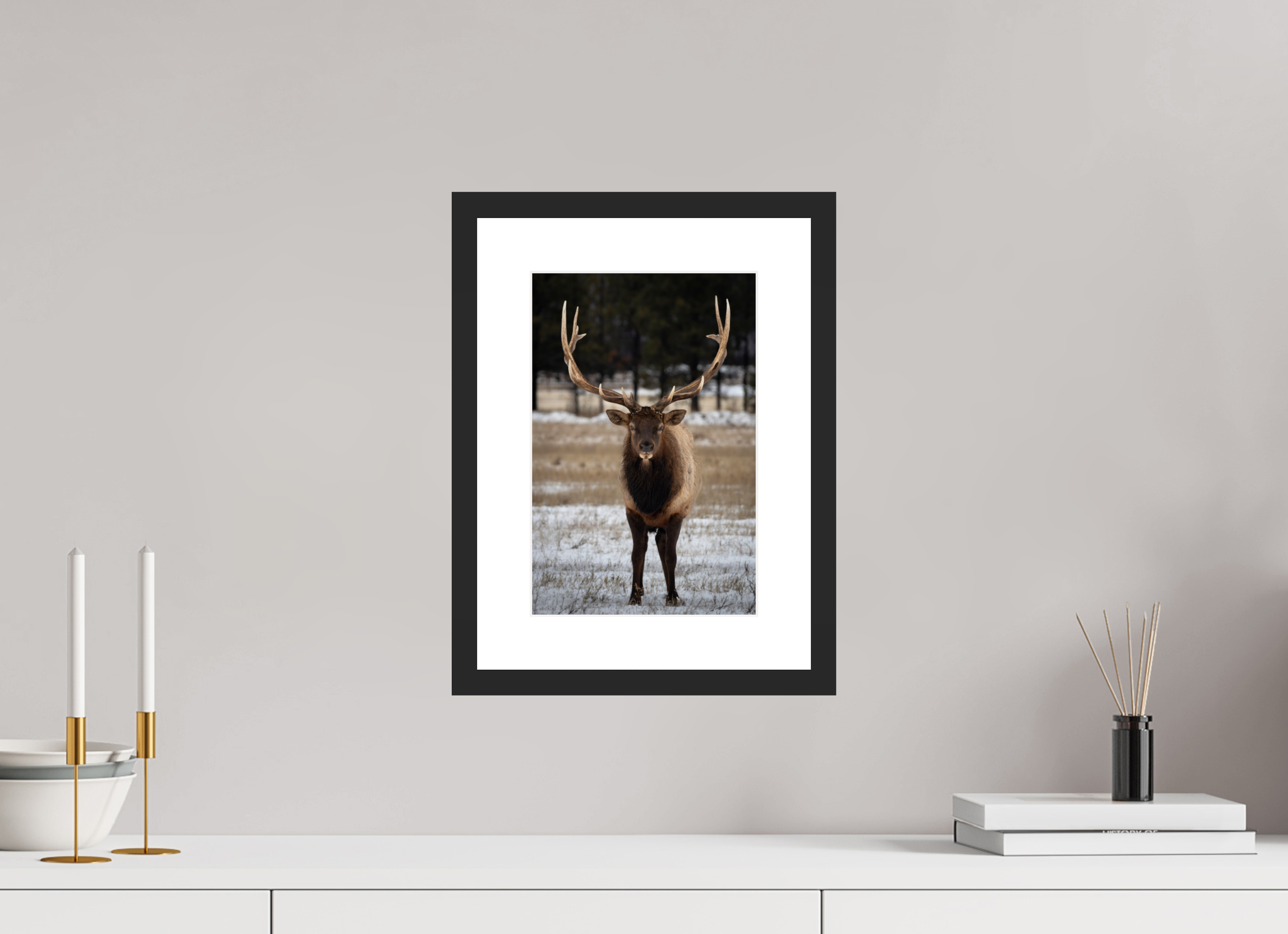 8 x 12″, Photo Print With Frame Stare Down