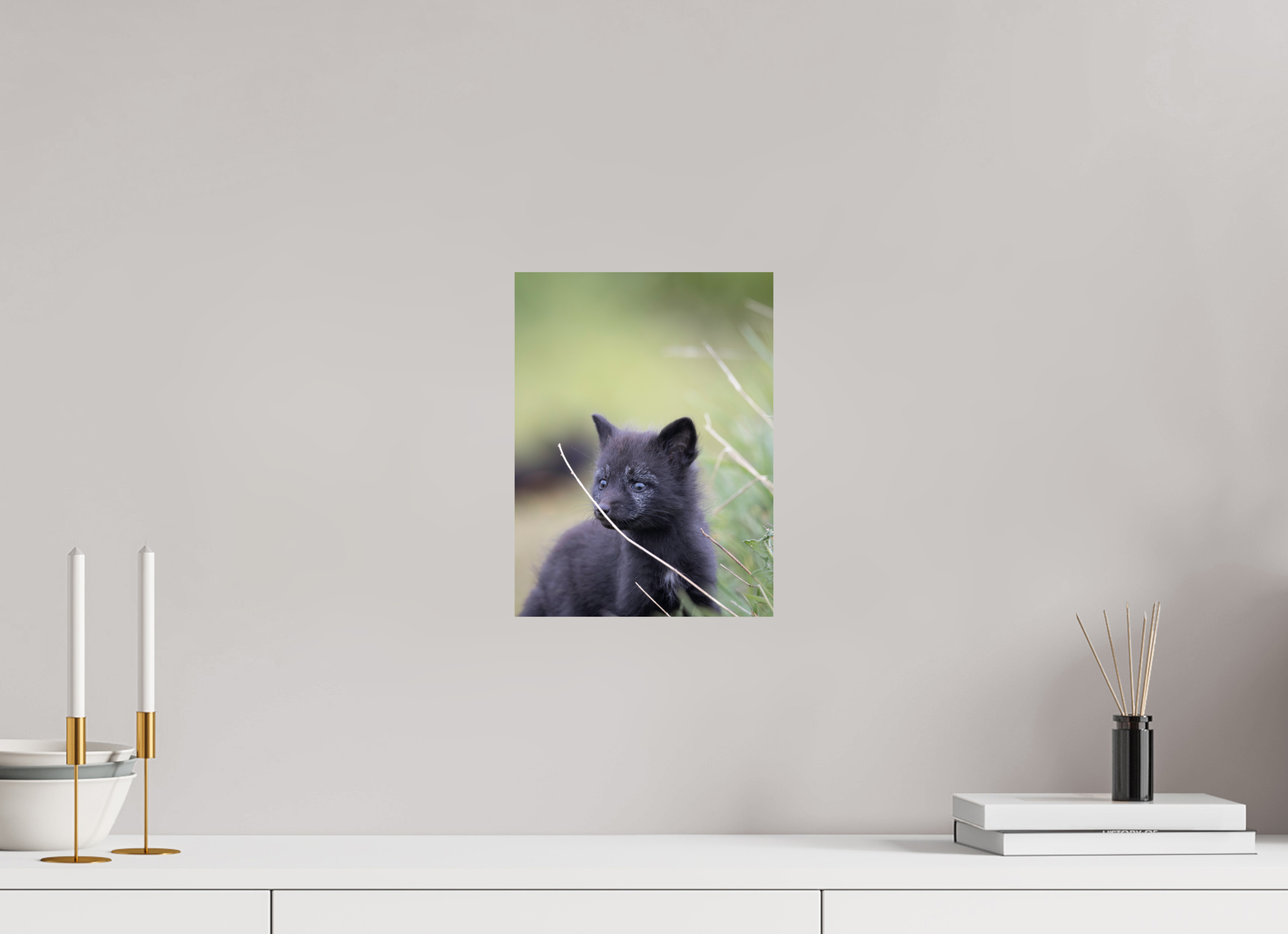 9 x 12″, Photo Print Young Fox