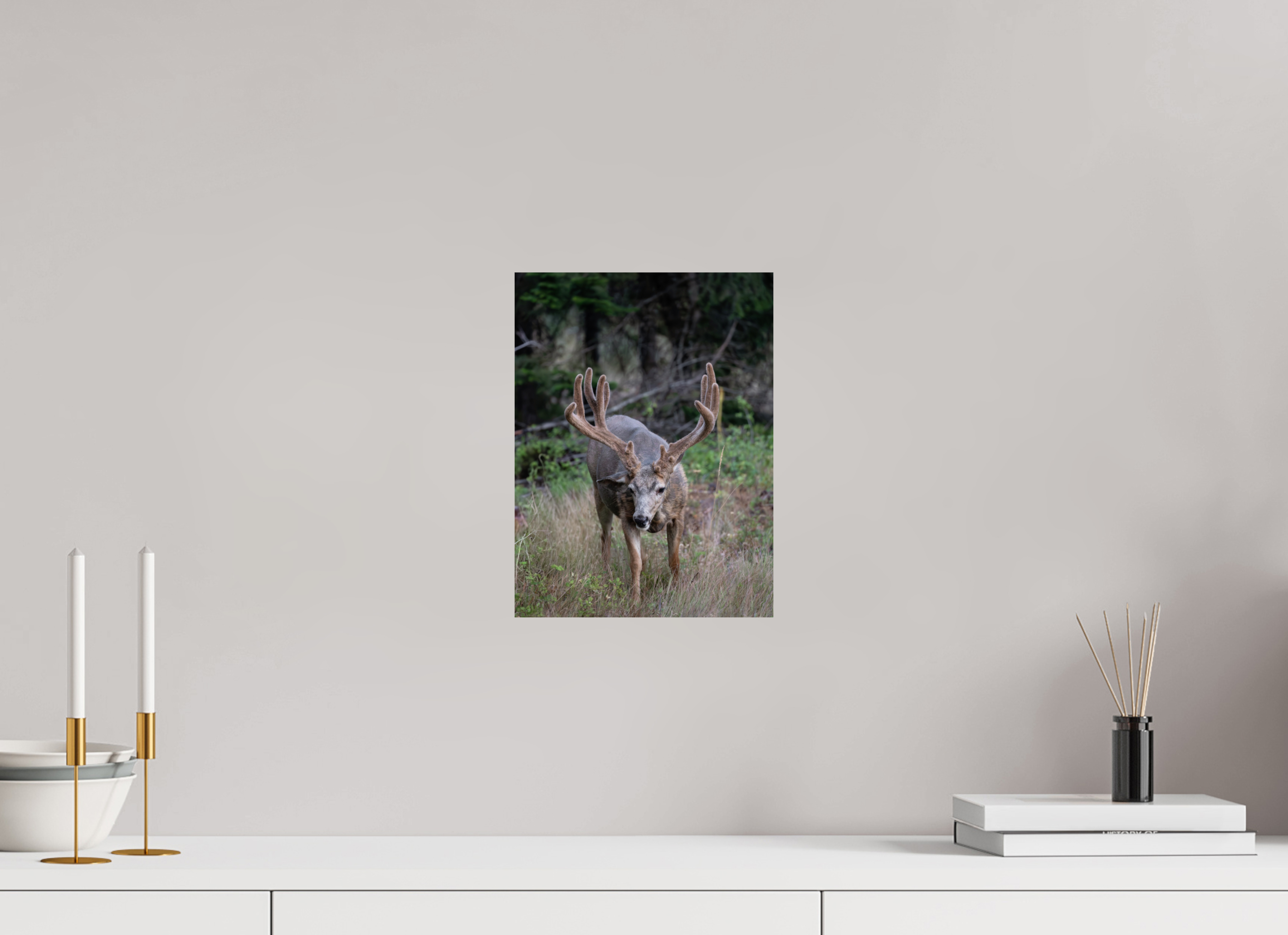 9 x 12″, Photo Print Richard