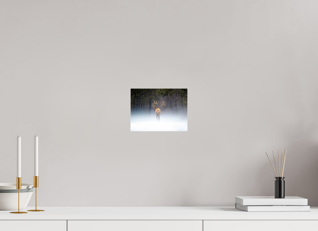 8 x 6″, Acrylic Print Look Back